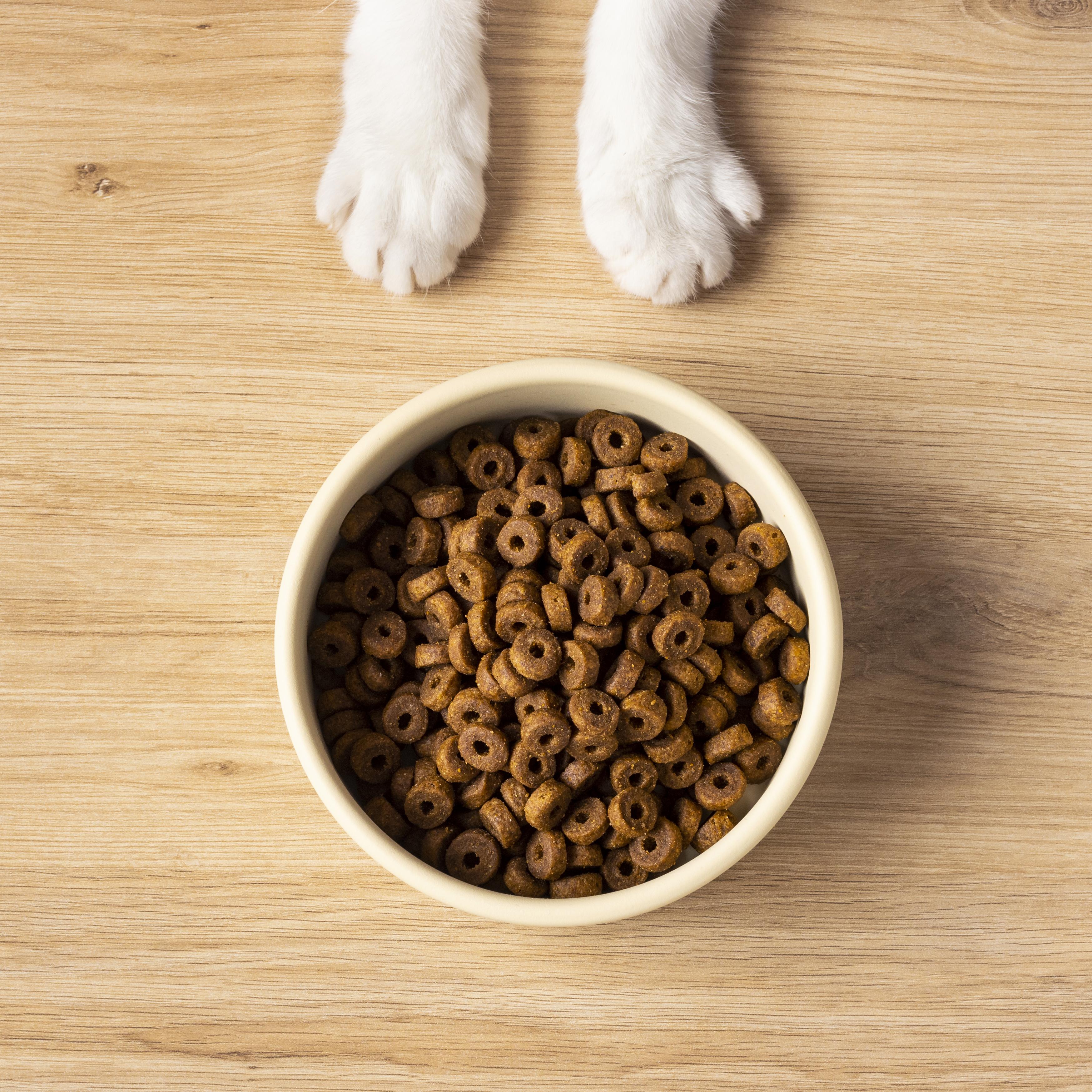 topetspetshop